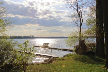 Almanya 'da Brandenburg, Wandlitz' de küçük bir göl kıyısında sazlıklar var.