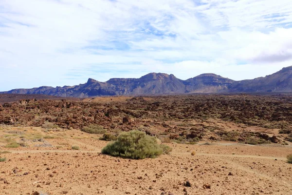 Tenerife adasındaki Teide Ulusal Parkı, lav tarlaları ve Teide volkanı
