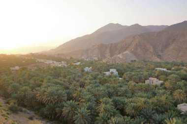 Birkat Al Mouz kalıntıları ve palmiye ağaçları vadisi.