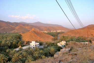 Birkat Al Mouz kalıntıları ve palmiye ağaçları vadisi.