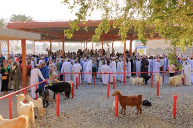 Nizwa, Umman, Aralık 2015: Nizwa keçi pazarında omani adamlar