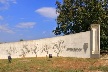 Mavi gökyüzüne karşı sıralanmış üzümlü asmanın yakın görüntüsü. Romanya 'nın Murfatlar kenti yakınlarında şarap tatma restoranı olan güzel üzüm bağları bulunuyor