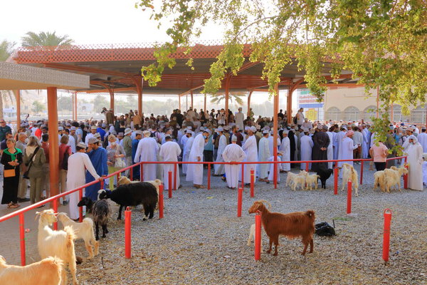 Nizwa, Oman, December 2015: omani men at the Nizwa goat market
