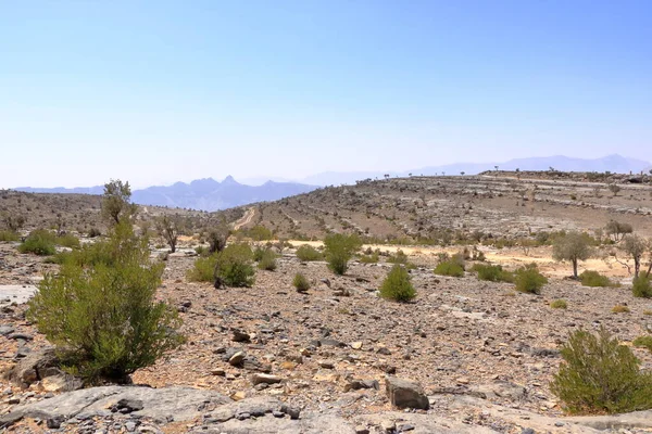 Jebel Shams Dice Che Sia Canyon Più Bello Del Mondo — Foto Stock