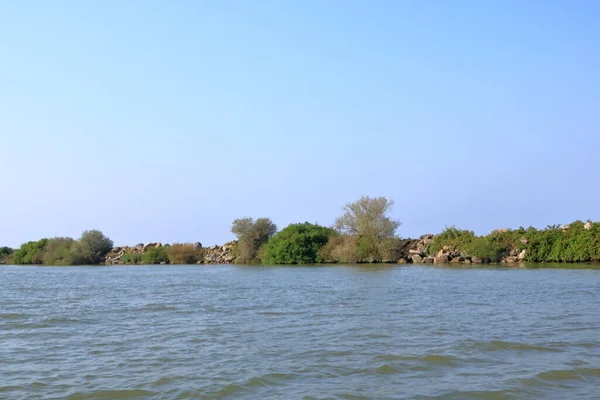 Sulina Kanalındaki Tuna Nehri Romanya Daki Tuna Deltası Karadeniz Yolunda — Stok fotoğraf