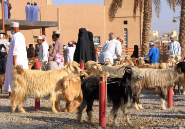 Nizwa, Umman, Aralık 2015: Nizwa keçi pazarında omani adamlar