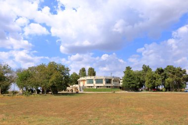 Mavi gökyüzüne karşı sıralanmış üzümlü asmanın yakın görüntüsü. Romanya 'nın Murfatlar kenti yakınlarında şarap tatma restoranı olan güzel üzüm bağları bulunuyor