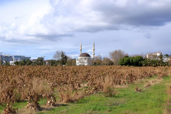 Mosque Village Avsallar Popular Tourist Destination Mediterranean Sea — стоковое фото