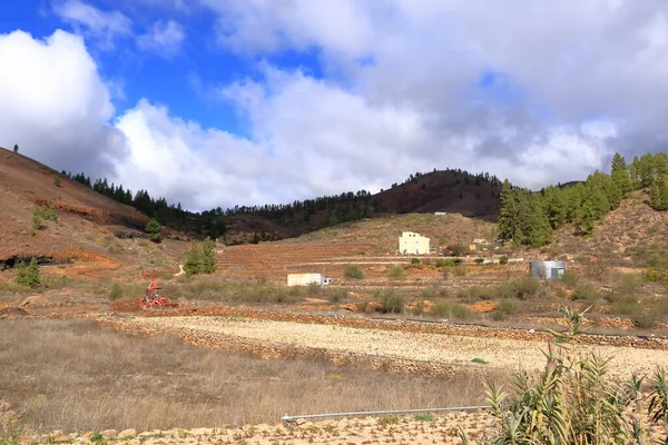 Rural Views Agricultural Lands Tenerife Canary Islands Spain — 스톡 사진