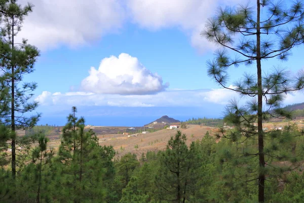 Beautiful Landscapes Barranco Del Infierno Tenerife — Foto Stock