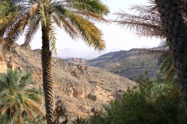 Panoramic View from a Misfah old House in Misfat al Abriyeen