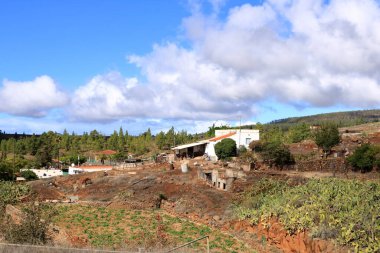Rural views of agricultural lands on Tenerife, Canary Islands, Spain