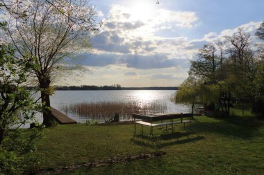 Almanya 'da Brandenburg, Wandlitz' de küçük bir göl kıyısında sazlıklar var.