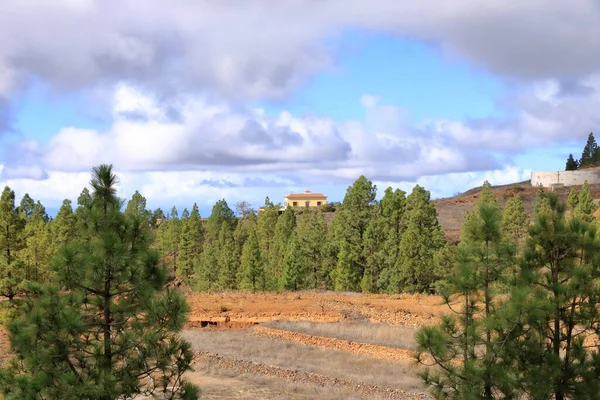 Rural Views Agricultural Lands Tenerife Canary Islands Spain —  Fotos de Stock