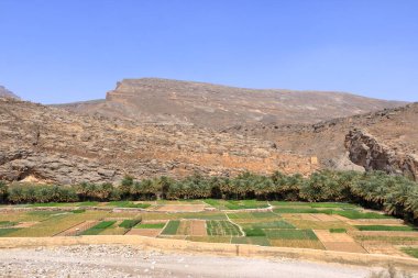 Abandoned village ruins of Riwaygh as-Safil with an oasis underneath on the road between Al Hambra and Jebel Shams in the Sultanate of Oman