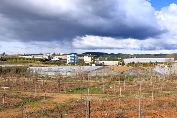 View Traditional Agricultural Areas Avsallar Anlanya Turkey — Zdjęcie stockowe