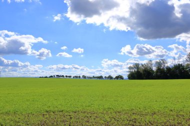 a Green sloping meadow with blue sky and clouds background
