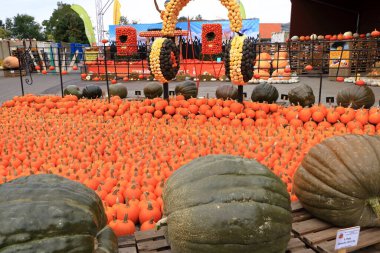 October 15 2021 - Klaistow, Germany: pumpkin exhibition at the outdoor farmers market