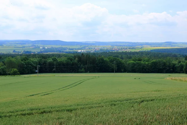 Rural Landscape Dresden Saxony — Stock fotografie