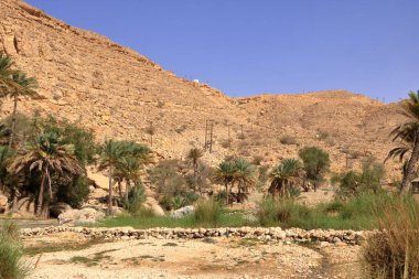 Wadi Bani Khalid 'in olağanüstü doğası, Umman.