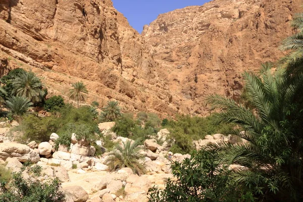 Wadi Shab Tiwi Umman Muscat Yakınlarındaki Güzel Manzaralı Kanyon — Stok fotoğraf