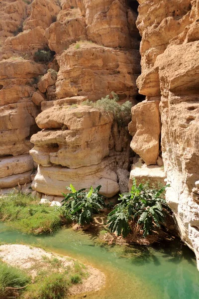 Wadi Shab Tiwi Ομάν Όμορφο Γραφικό Φαράγγι Κοντά Στο Muscat — Φωτογραφία Αρχείου