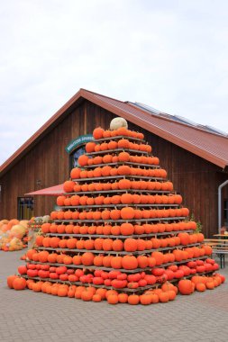 October 15 2021 - Klaistow, Germany: pumpkin exhibition at the outdoor farmers market