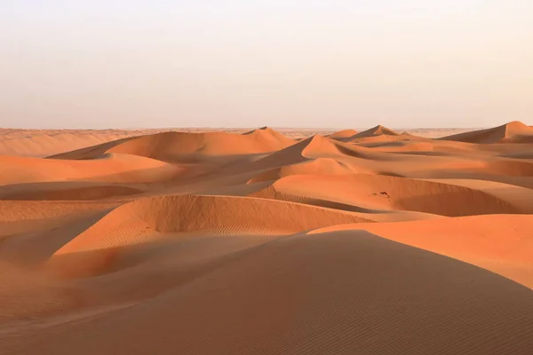 Las Arenas Wahiba Del Desierto Omán Cercano Oriente —  Fotos de Stock