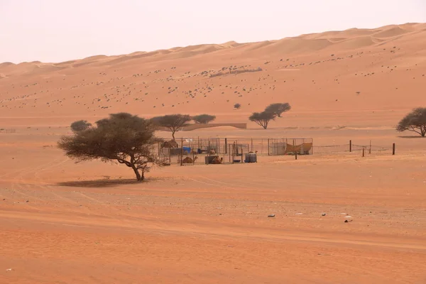 Tradiční Vesnice Wahiba Sands Ománu — Stock fotografie