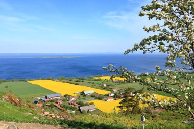 İsveç, Vattern Gölü, Uppgranna Brahehus Kalesi 'nin yüksek açılı kırsal manzarası harabe.