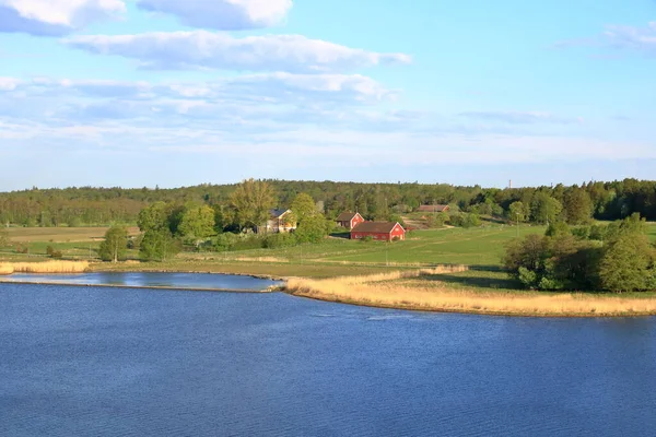 Beau Paysage Environnement Naturel Archipel Turku Entouré Verdure Des Pins — Photo