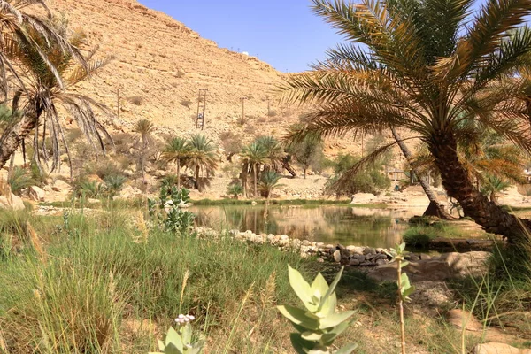 Die Spektakuläre Natur Des Wadi Bani Khalid Oman — Stockfoto