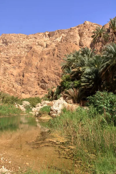 Wadi Shab Tiwi Oman Schöne Malerische Schlucht Bei Maskat — Stockfoto