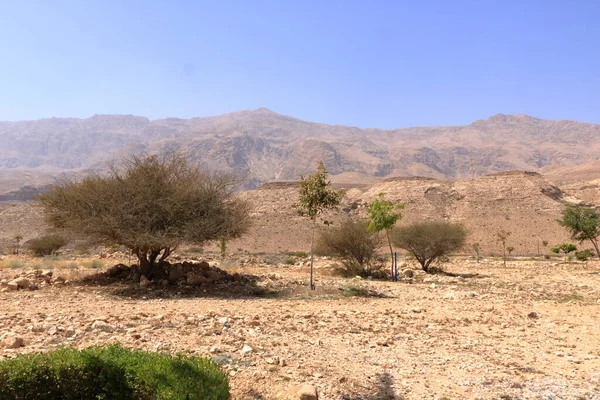 Área Alrededor Del Sumidero Bimmah Uno Los Sumideros Naturales Más —  Fotos de Stock