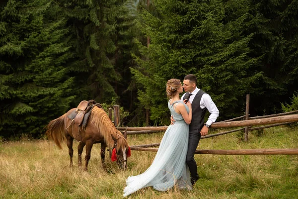 Bride Groom Hugging Forest Horse Mountains Wedding Walk — Stockfoto