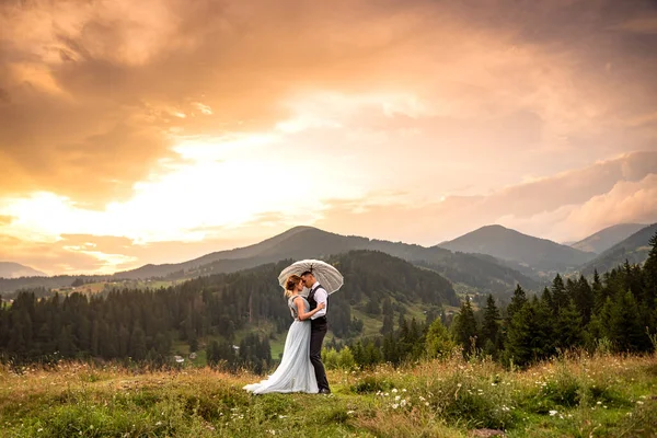 在山上爱的夫妻 在山上举行婚礼 新婚夫妇站在山上欣赏风景的背景图 图库图片