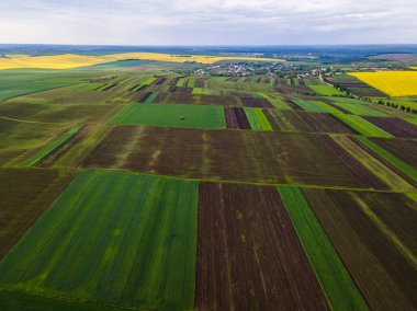 Aerial top view of a different agriculture fields in countryside on a spring day. Drone shot