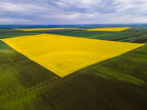 Erstaunlich Hell Bunte Frühlings Und Sommerlandschaft Für Tapeten Gelbes Feld — Stockfoto