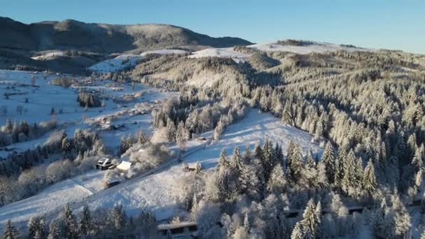Egy Kis Csendes Hófödte Falu Egy Hatalmas Kárpát Völgyben Örökzöld — Stock videók
