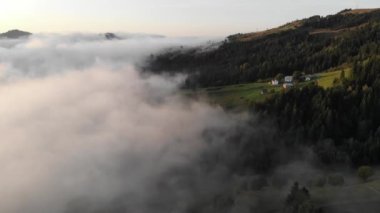 Sisli yeşil çam ormanı, çam ağaçlarından gölgeler ve dağlarda gün doğumu ışınları..