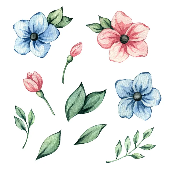 Aquarelle Dessinée Main Aquarelle Illustration Ensemble Fleurs Simples Bleues Roses — Photo
