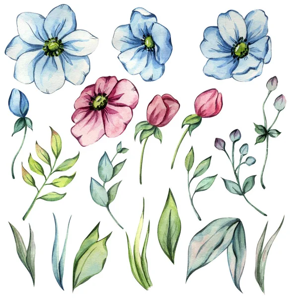 手描き水彩イラスト 植物画 青とピンクの花 緑の葉と枝 ストックフォト