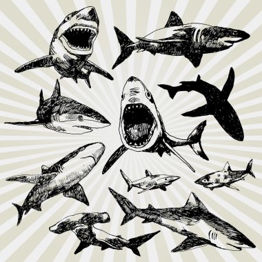 Download Shark Bite Mark Free Vector Eps Cdr Ai Svg Vector Illustration Graphic Art