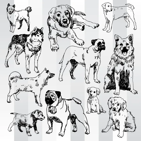 Köpekler elle çizilmiş