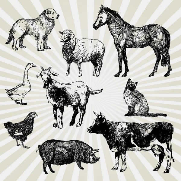 Conjunto de animales domésticos — Vector de stock
