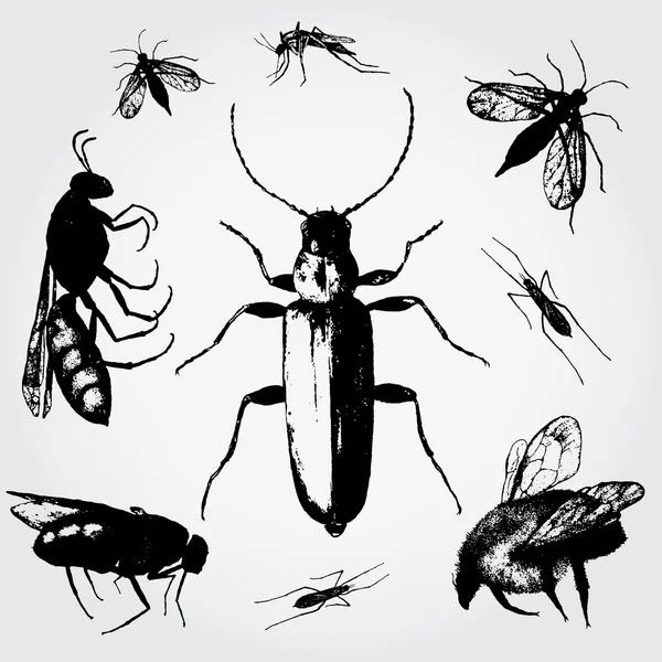 Insectos — Vector de stock