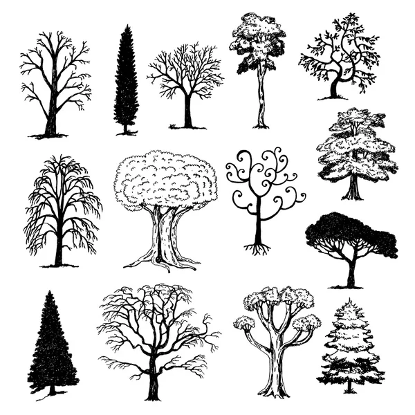 Arbres dessinés à la main — Image vectorielle