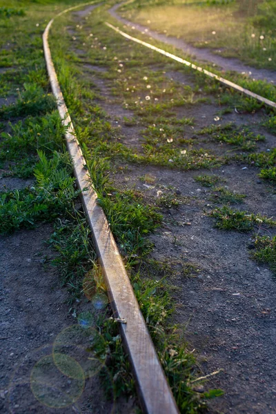 Close-up of rusty railway tracks. Green grass grows nearby. Sun rays are shining from above. Railway tracks for trains that have not been used for long time. — Stock Fotó