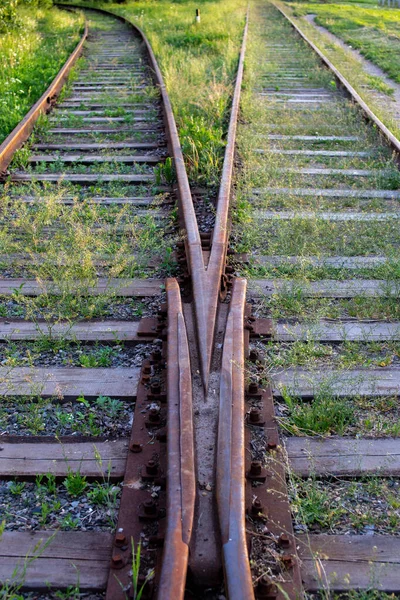 Az előre vezető út, a régi vasúti sínek egyik ága. Sok zöld fű van a környéken, vasúti sínek, amiket senki sem használ. Két út különböző irányokba. — Stock Fotó