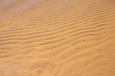 Açık denizin altındaki kumda küçük dalgalar. Suda sarı, temiz kum, denizin dibi temiz. Kumsal.